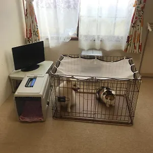  アパート Stayあけぼし館 日本